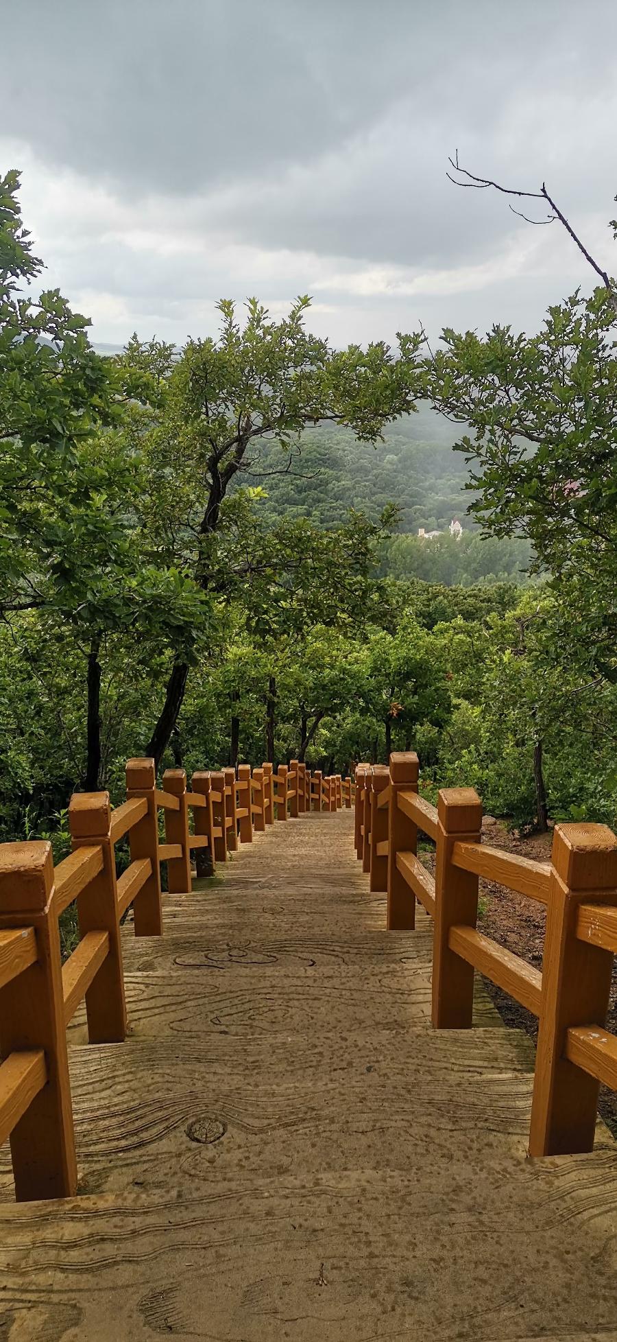 梧桐树:旅游随拍(图42)