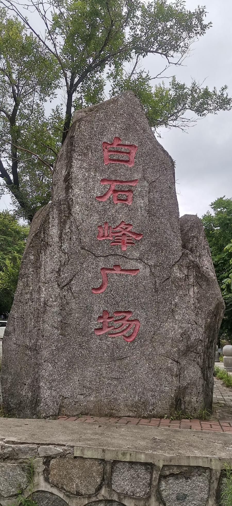 梧桐树:旅游随拍(图44)