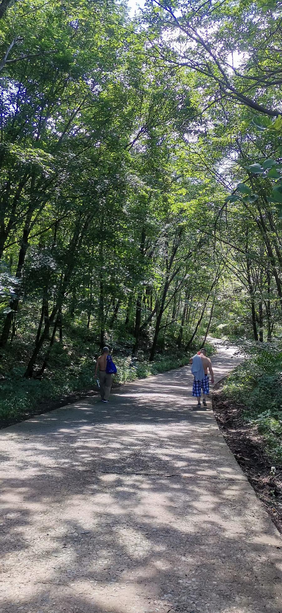 梧桐树:旅游随拍(图47)