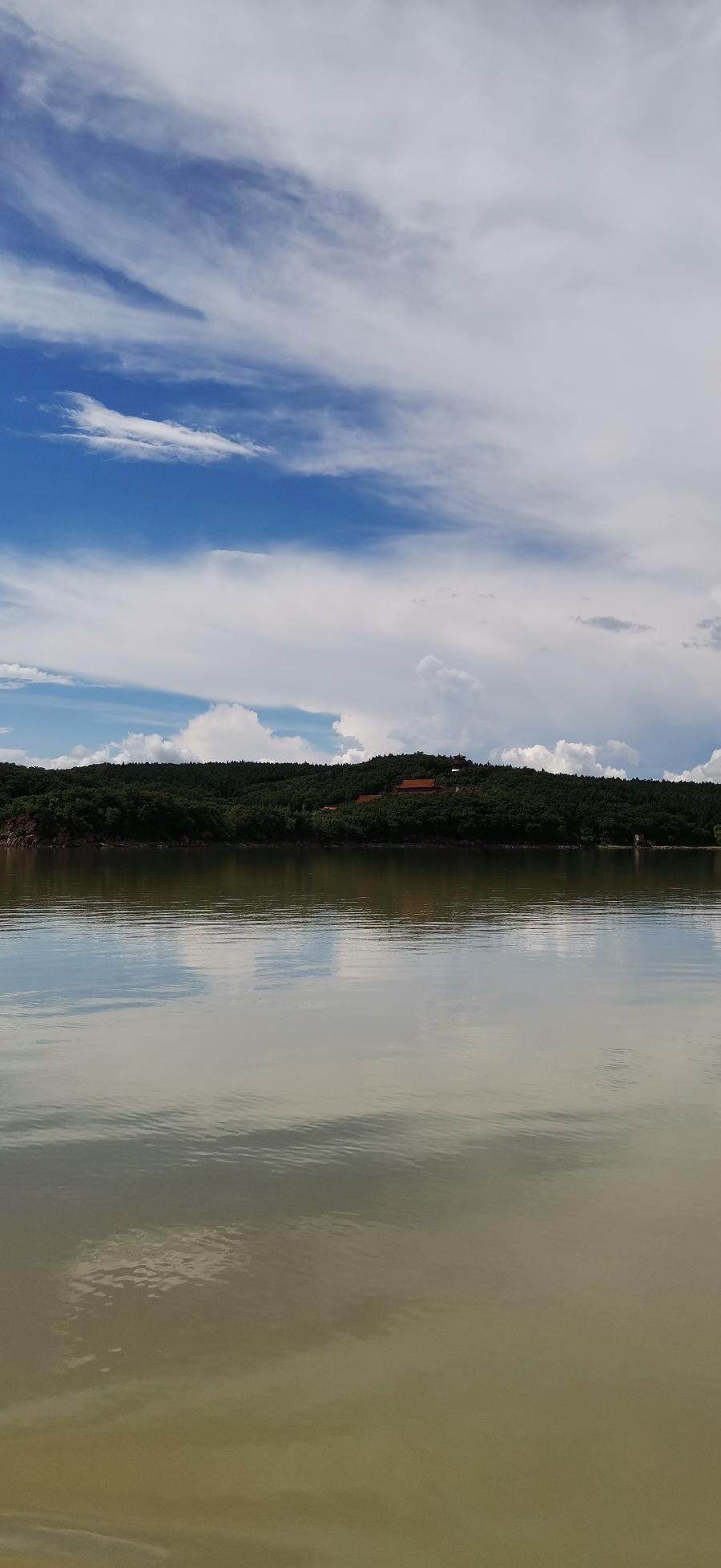梧桐树:旅游随拍(图25)