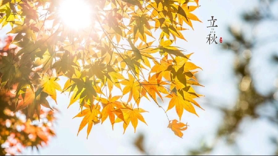 《立秋专刊》【九江文学社:北京头条】(图4)