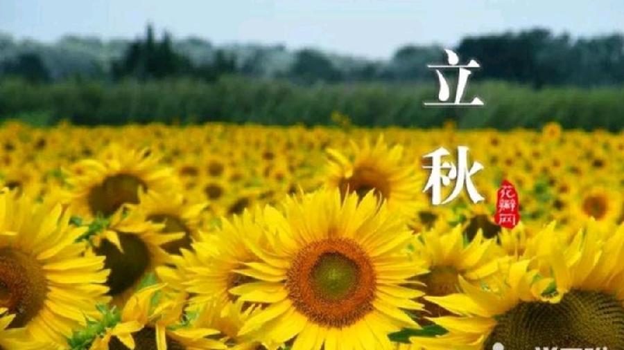 《立秋专刊》【九江文学社:北京头条】(图7)