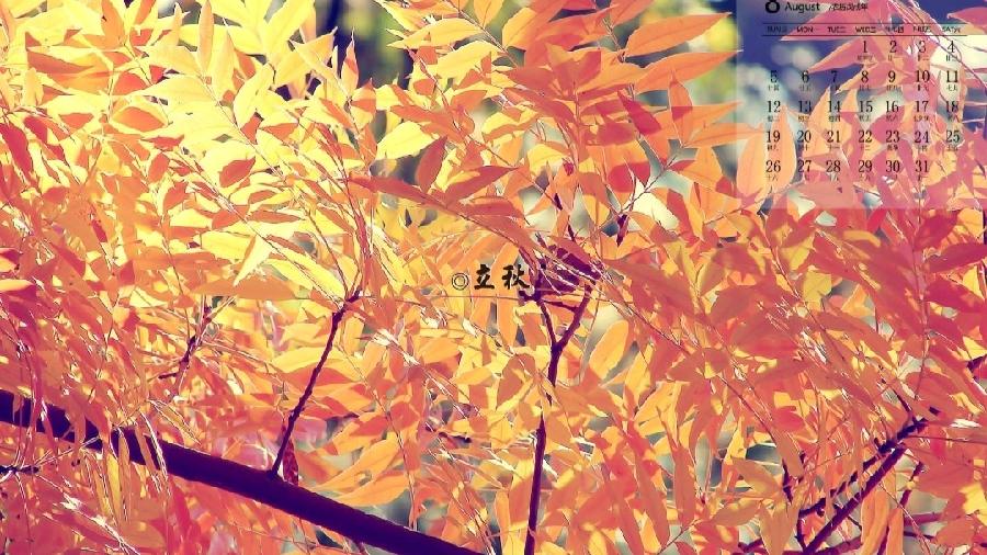 《立秋专刊》【九江文学社:北京头条】(图16)