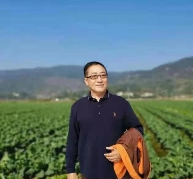 妖婆佩洛西/书乐(图4)