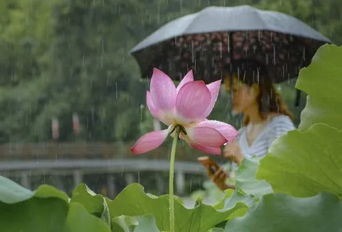 【华夏周刊】第105期诗友合辑（图2）