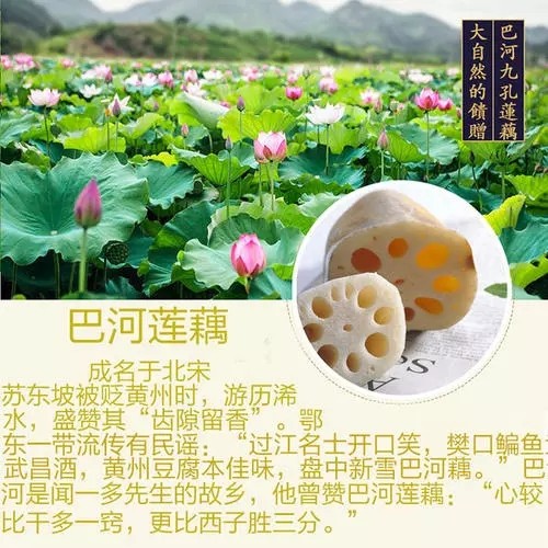 【潇湘文学社】潇湘听松诗社《总413期》（嵌“光”字韵入律绝填词“看花回”）（图9）