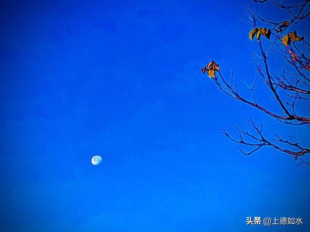 四季里的那个月亮‖作者:吴先和‖主播:青草味儿【总1146期】(图9)