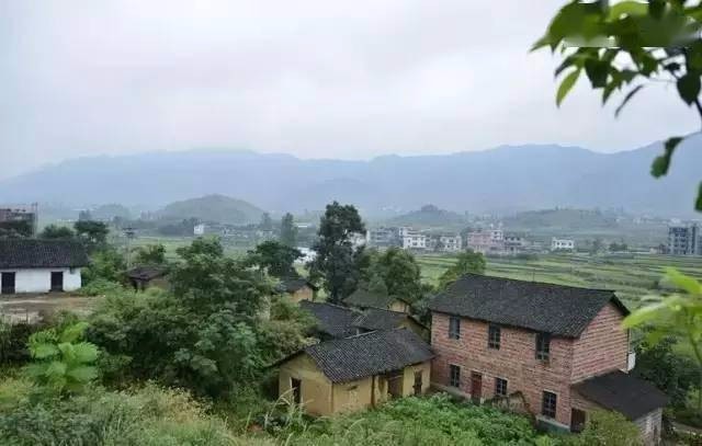 【桃源国际诗歌馨声】村庄‖作者:翁堂明‖主播:青苗【总1146期】(图6)