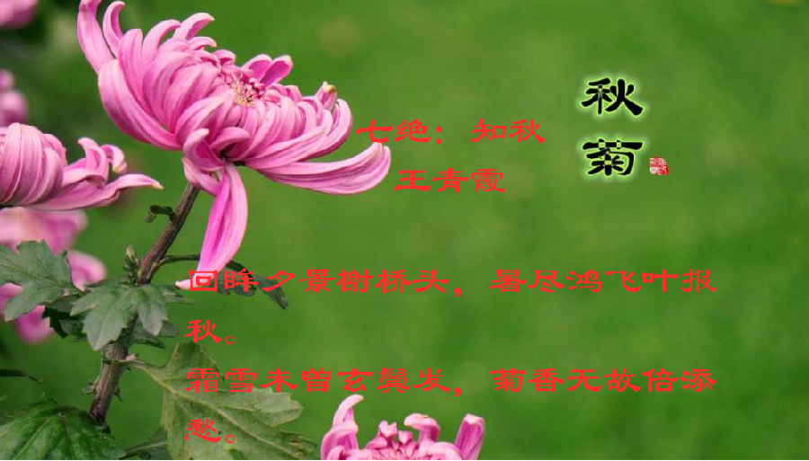 七绝：叹秋（平水韵）/王青霞