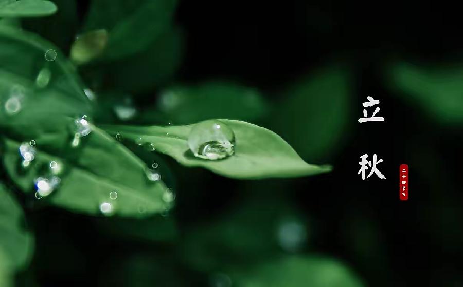【新诗大观】立秋（诗二首）||文/王敏