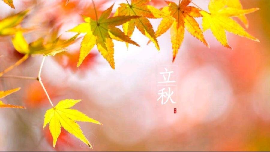 《立秋专刊》【九江文学社:北京头条】(图9)