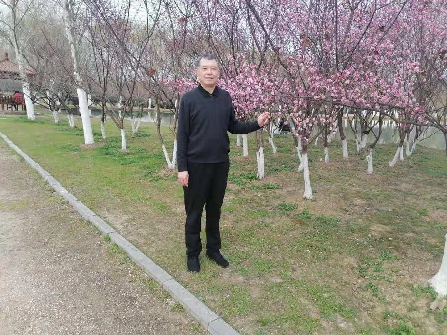 【当代文艺】《紫荆与紫薇》作者:朱双顶(图7)