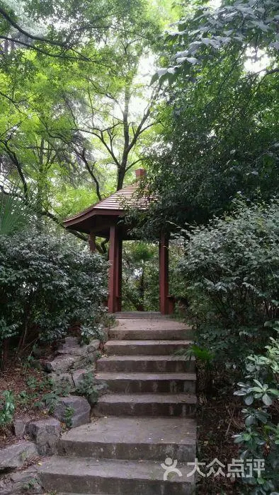 秋 雨‖文图/赵京江（图8）