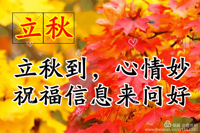 【经典推荐】盛世逸民//鹧鸪天•壬寅立秋夜咏｛外一首｝（图6）