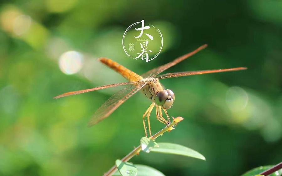 《洪新爱社长诗词欣赏》【九江文学社：北京头条】（图17）