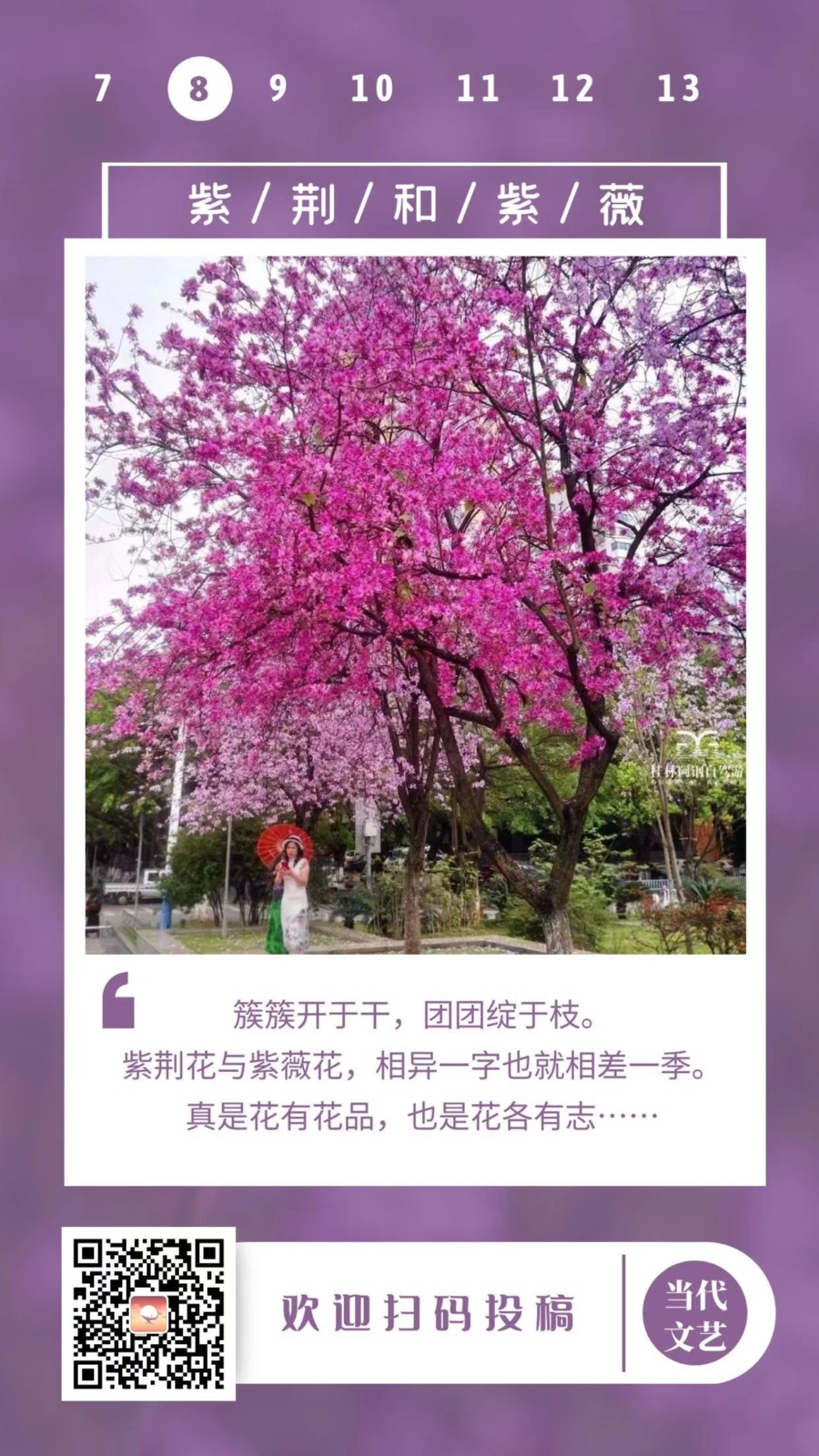 【当代文艺】《紫荆与紫薇》作者:朱双顶(图2)