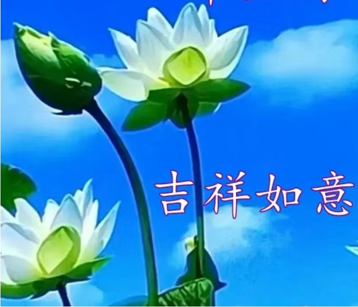 荷塘月色（欣欣）赞美汪华先生丨中国桂林都市文学社774期（图2）