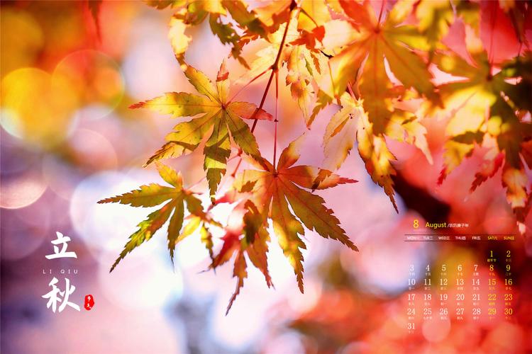 国风社辽宁分社(第36期)(图3)