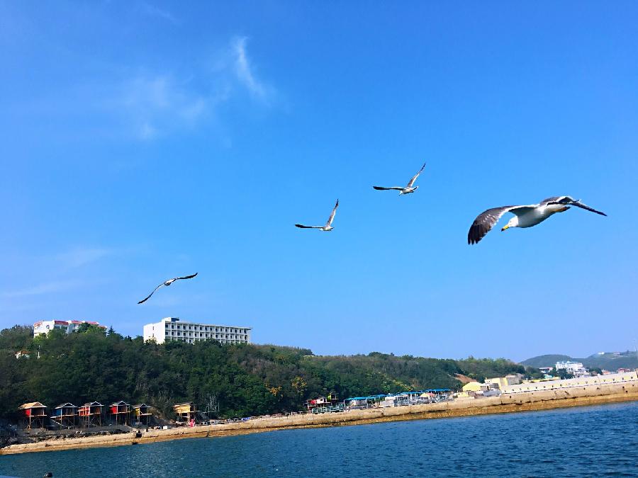 经典合诵【印象大连】作者/刘伙力 合诵/听你花开的港湾主播团 音频合成/六月荷（图4）