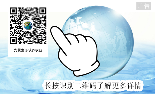 涔濈考鍐滀笟璇嗗埆浜岀淮鐮?.jpg
