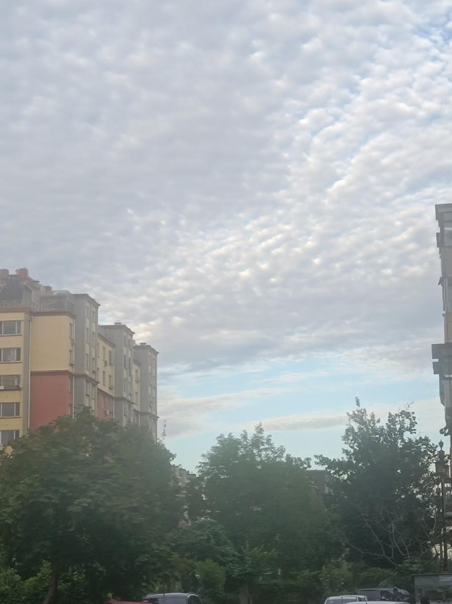 静坐享悠闲