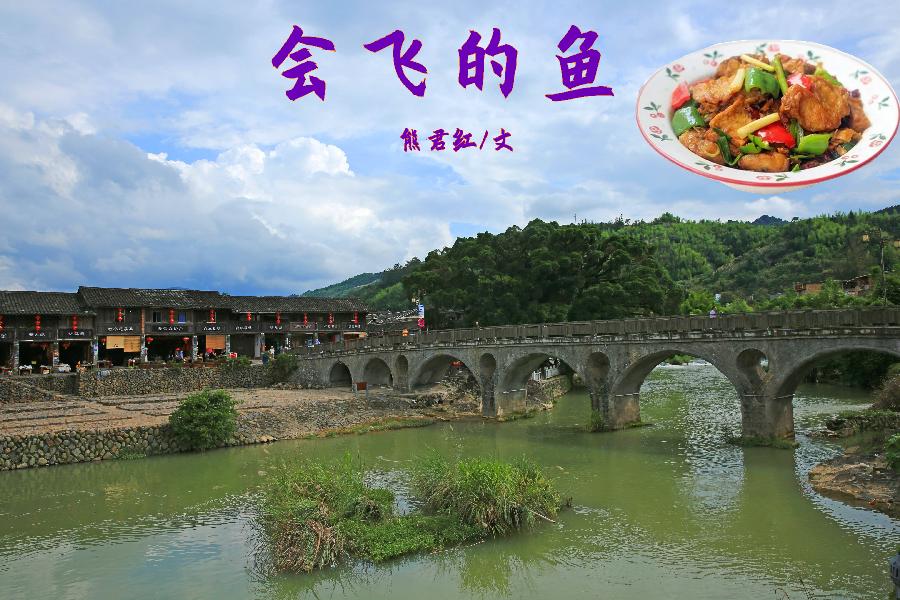【福建闪小说★“汉连杯”佳作选（38）】《会飞的鱼》（征文作品）熊君红  闪小说