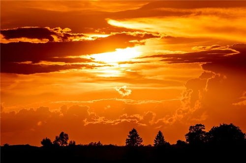 《守望夕阳》作者:姜光成诵读 梦璐 编辑:宋梅【中国长江文学社】有声文学平台第4124期(图4)