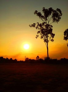 《守望夕阳》作者:姜光成诵读 梦璐 编辑:宋梅【中国长江文学社】有声文学平台第4124期(图7)