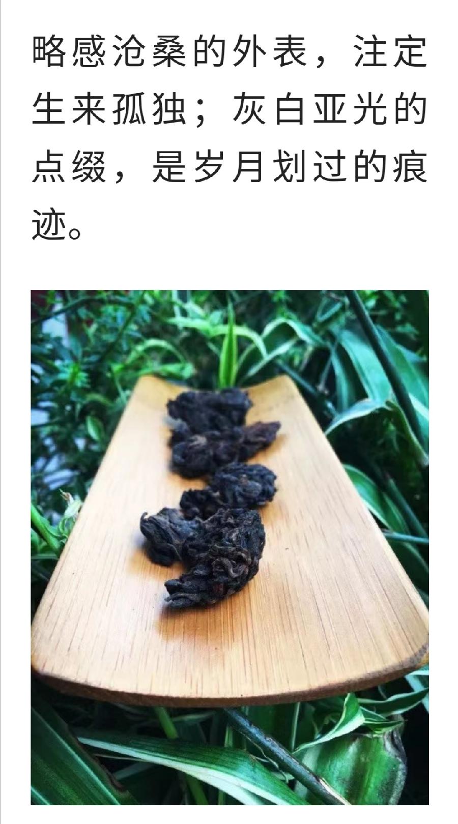 千万别喝老茶头！（图2）