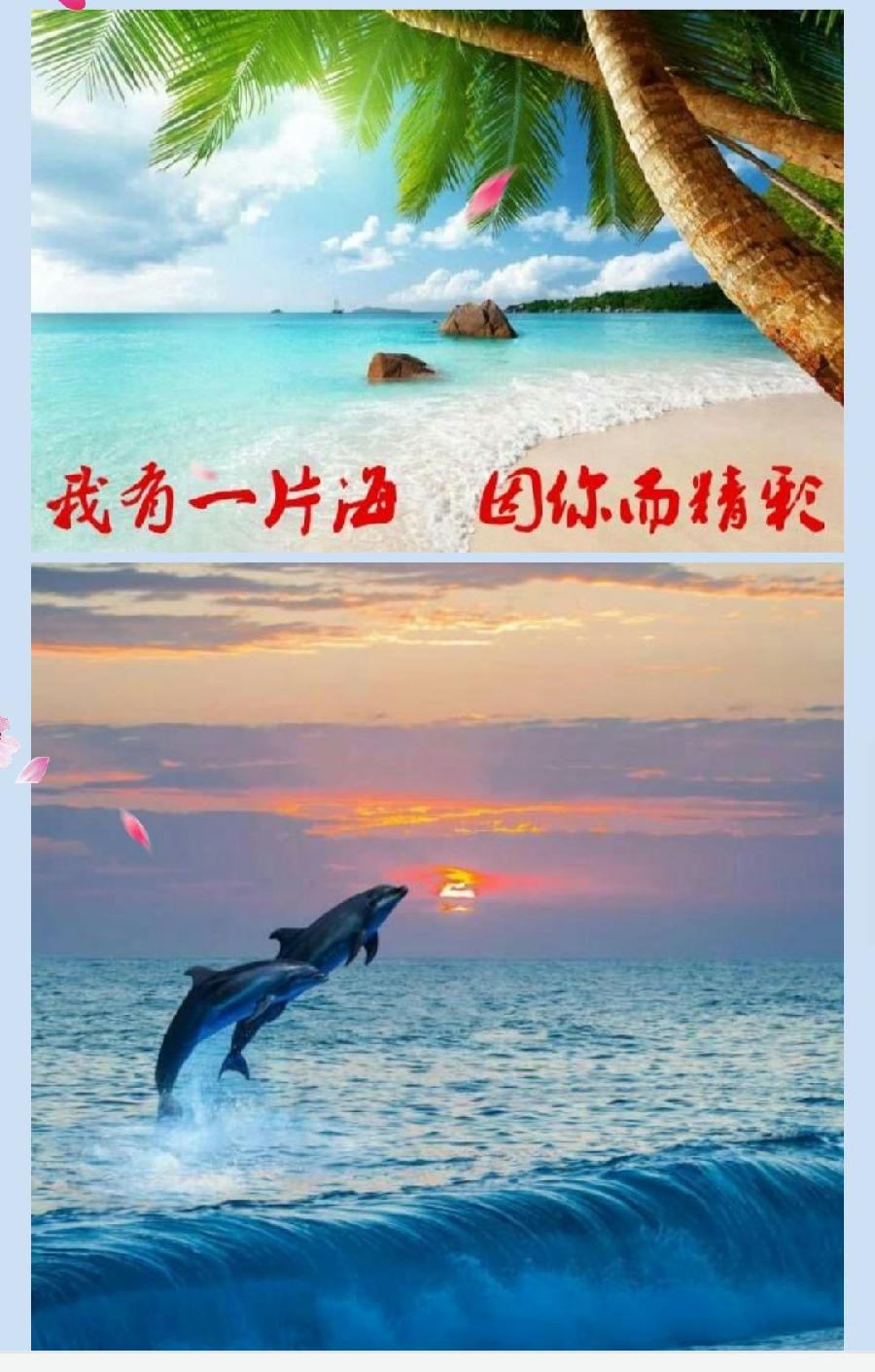 邹恩亮《海天诗画》名家精品微刊 七绝•夏日荷塘十二题 诗‖邹恩亮（图13）