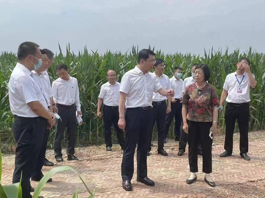 刘润泉《心系三农事 春华满绿园——记绿园公司创始人杨春华》播/玉华（图3）