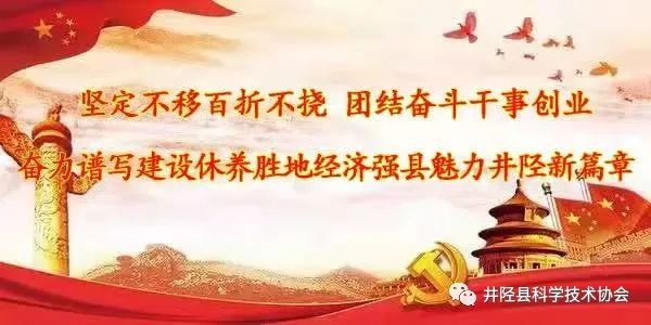 县科协、县文联到辛庄乡李家嘴村开展乡村振兴与传统村落保护利用“把脉会诊”活动
