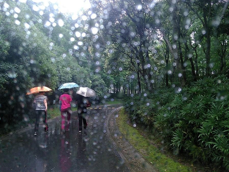 【经典推荐】张汝松//雨中漫步｛外一首欣｝（图3）