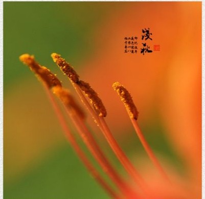 【经典推荐】王清义//巫山一段云•浅秋（图3）