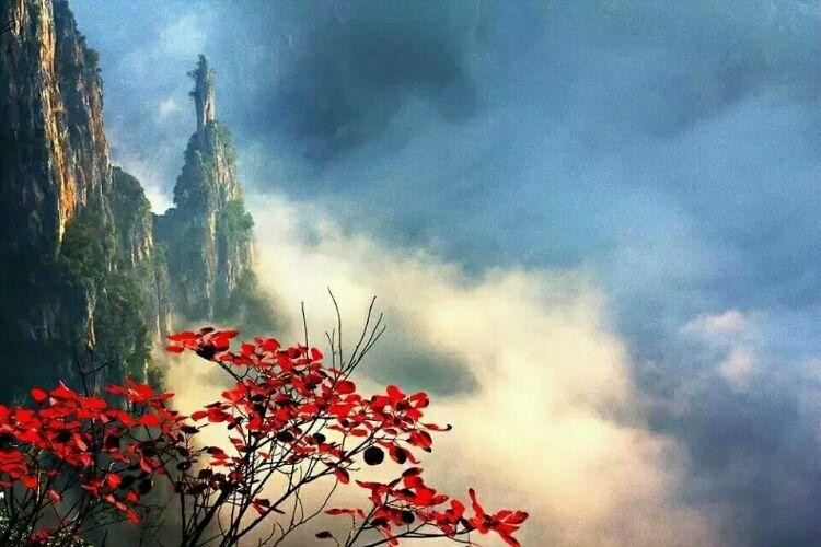【经典推荐】王清义//巫山一段云•浅秋（图4）