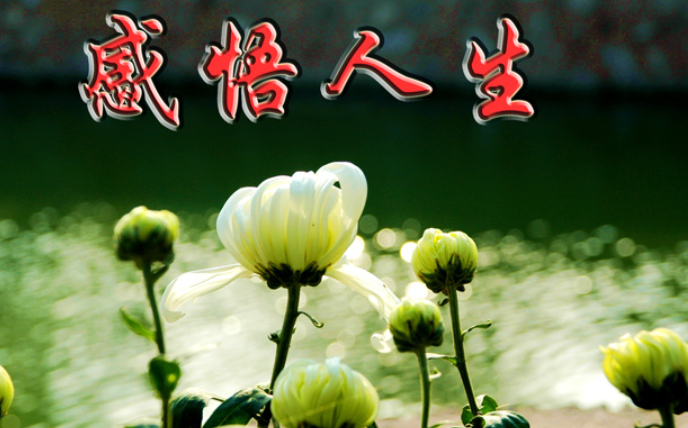 【经典推荐】盛世逸民//七律•再话聊斋｛二首｝（图4）