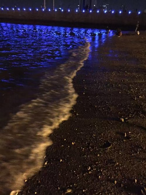 林杨:夏夜追凉(图3)