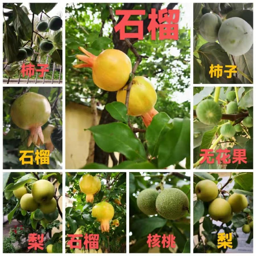 《世界名家》【九江文学社:北京头条】著名艺术家沈志昂先生笺言精选 主编/洪新爱(图13)