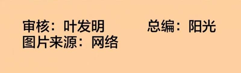 【世界文学联盟】李鸥散文《没能兑现的承诺 》主播:冯志伟(图2)