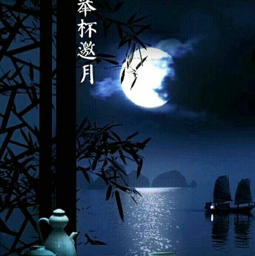 【新山东文学社】《夜思》作者/山佳 主播/吴涵伟（图6）