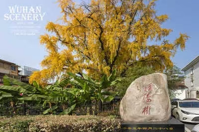 《北美翰苑散文诗社0005期周刊》(图33)