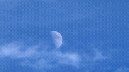 诗意传情诗社【中元夜】(暑期档作品之十九)文‖姚京平 诵‖旭洋(985)(图4)