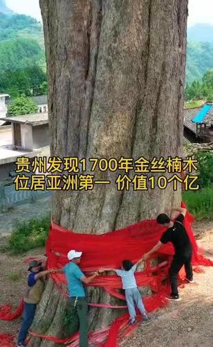 《感咏家乡脱贫致富》文:江花(北京)长安街总社【世界诗人名人展】(8930)(图10)