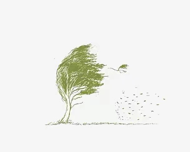 〔现代组诗〕作者｜陈鸣鸣（南京）【冰心文化传媒】（图4）