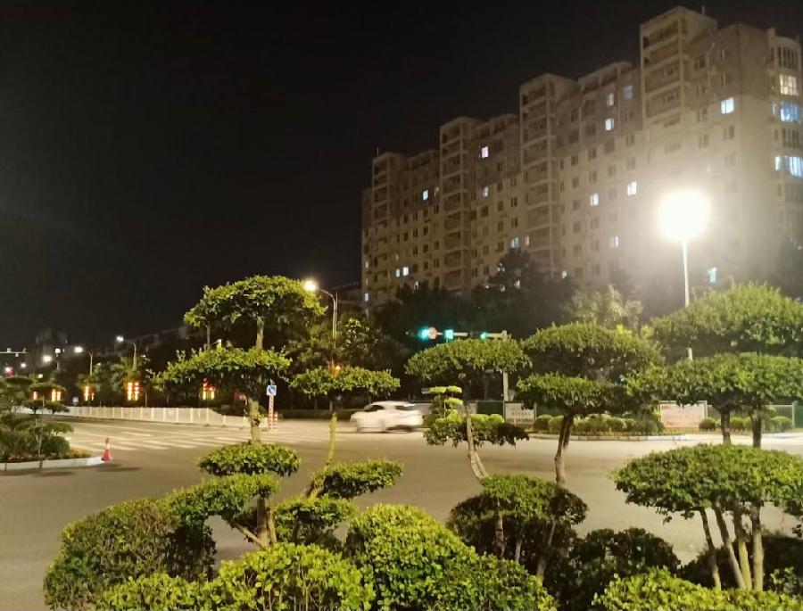 【新诗大观】好一片美丽的夜光||文/最美的时光
