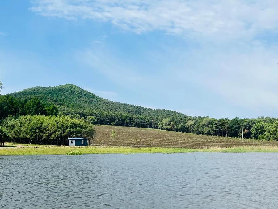 中华诗艺社黑龙江分社/【摄影】袁华:别样风景（图16）