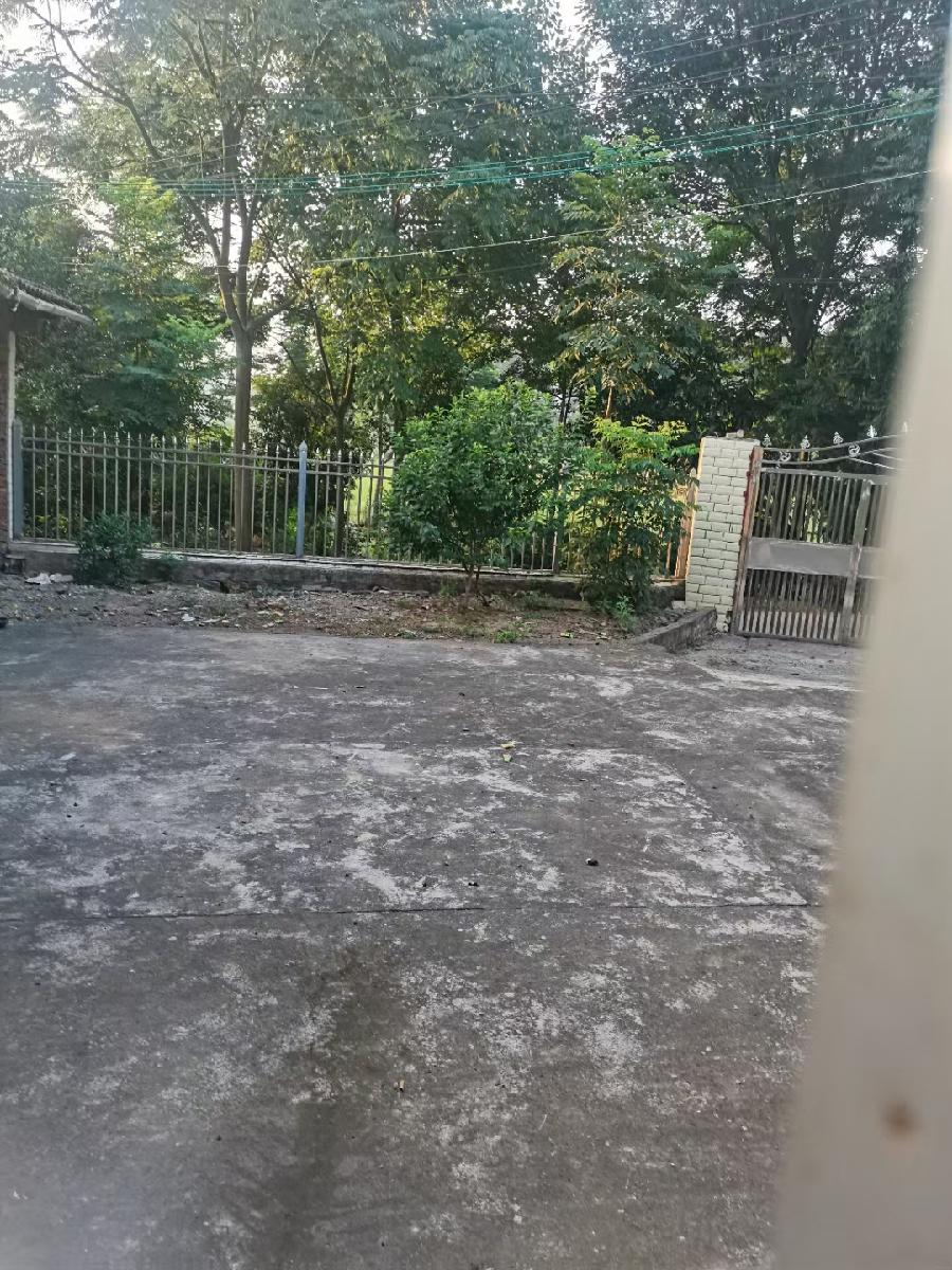 情感语录