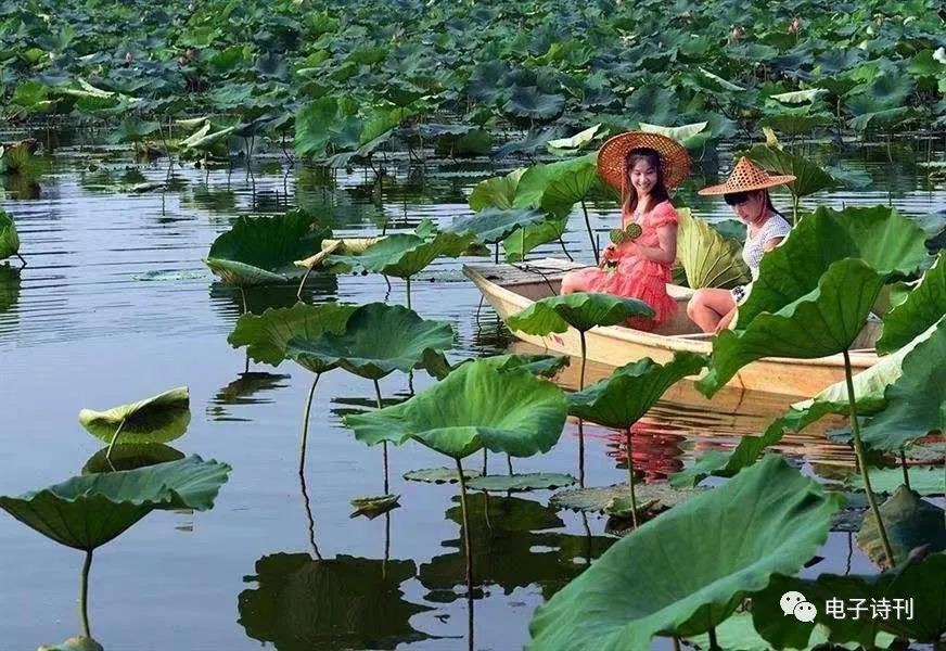 【中国齐鲁风】推介新村《说夏》请欣赏（图6）