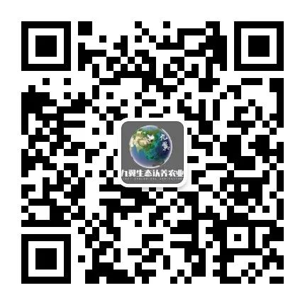 涔濈考2.jpg