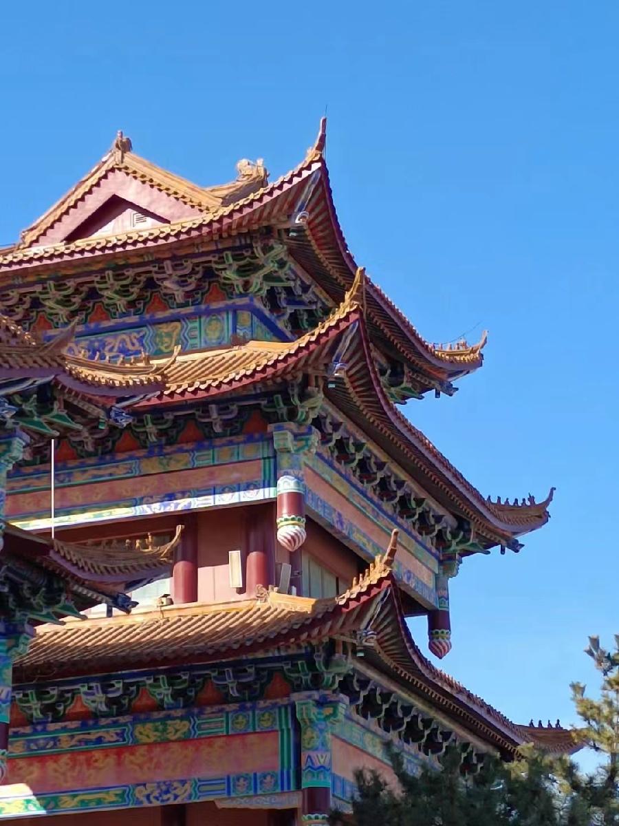 中华诗艺社黑龙江分社/【摄影】袁华:别样风景（图33）